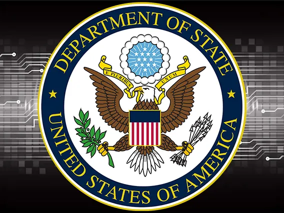 Foreign Affairs IT Fellowship