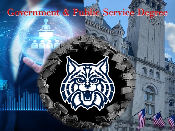 Government & Public Service 