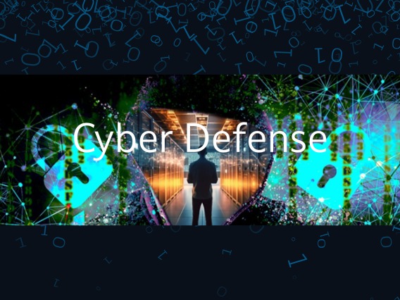 Cyber-Defense