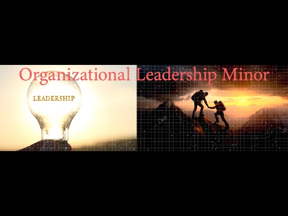 Organizational Leadership Minor
