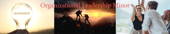 Organizational Leadership Minor