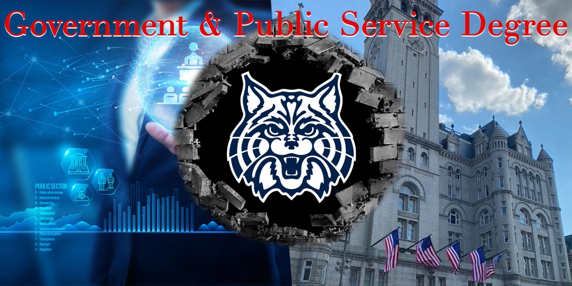 Government & Public Service Degree