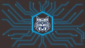 cyber.cat